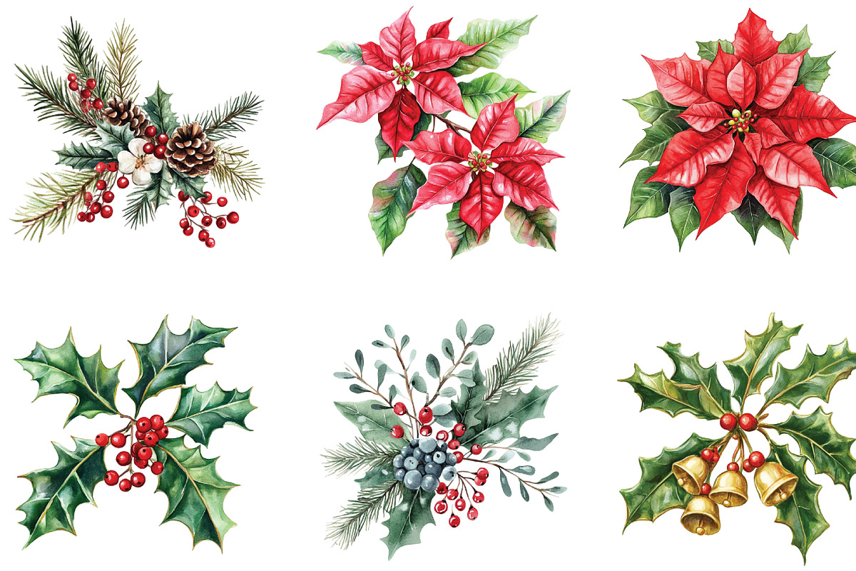 Watercolor Holiday Floral Clipart, an Illustration by CraftArtStudio (Photo 3 of 6)