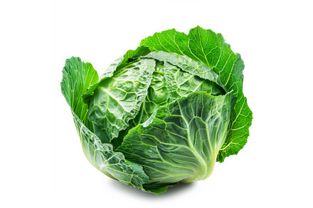 Fresh green cabbage standing on, a Food & Drink Photo by Ylivdesign