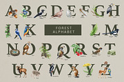Forest Alphabet Watercolor Clipart, an Education Illustration by AnitaPol (Thumbnail 4 of 12)
