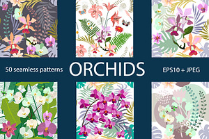 Tropical Orchids