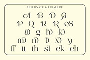 Selasy - New Modern Font, a Serif Font by roomspace creative lab (Thumbnail 9 of 9)