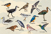 Beautiful Birds., an Animal Illustration by Sweet_print (Thumbnail 2 of 3)