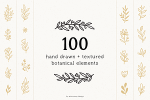100 Hand Drawn Botanical Graphics