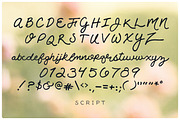 Rosie Script, a Script Font by JoshuaRed Design (Thumbnail 3 of 5)