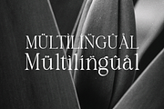 Salsify - Classic Thin Serif, a Serif Font by Pandeka Studio (Thumbnail 12 of 12)