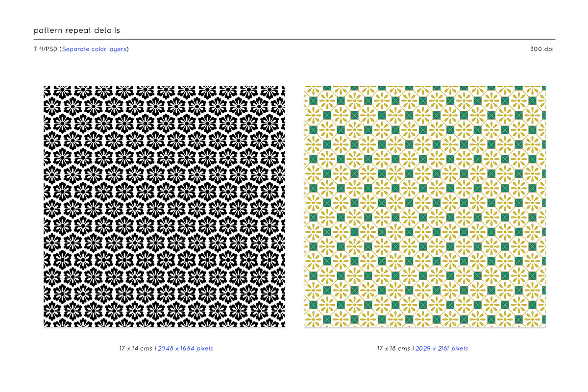 Mirai Collection 11 Eastern Patterns, a Pattern Graphic by TSTUDIO (Photo 10 of 12)