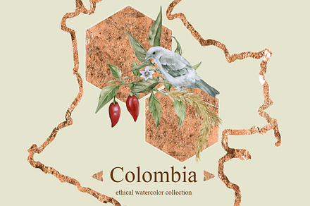 Colombia. Watercolor collection.