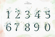 Watercolor Eucalyptus Green Floral, a Decorative Illustration by Veris Studio (Thumbnail 21 of 25)