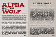 Alpha wolf - Serif font, a Serif Font by Artistic & Unique (Thumbnail 11 of 12)