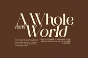 Rikora Elegant Serif Font, a Serif Font by Perfectype (Thumbnail 3 of 8)