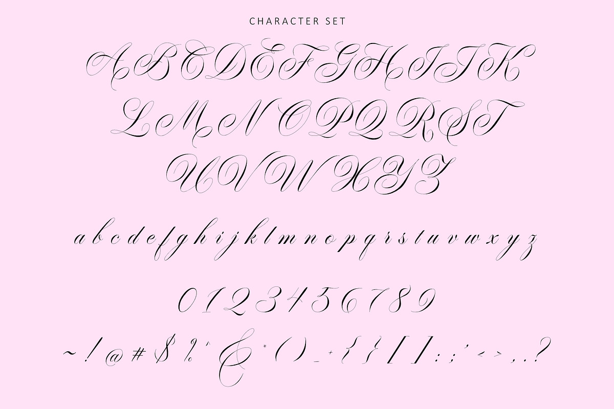 Garncoleia - Romantic Script Family, a Script Font by Sealoung (Photo 12 of 12)