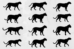 Cheetah Silhouette SVG, an Animal Illustration by newminddesign