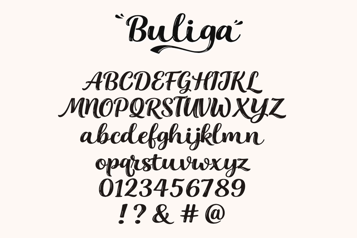 Buliga – Elegant Script Font, a Script Font by cocodesign (Photo 8 of 9)