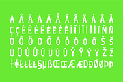 50% OFF! Casler, a Serif Font by Alternate Studio (Thumbnail 9 of 9)