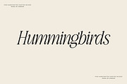 The Awesome Serif Family (32 Fonts), a Serif Font by Nicky Laatz (Thumbnail 33 of 42)