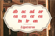 Brenoir - Elegant Decorative Serif, a Font by Simetrica Labs (Thumbnail 13 of 14)