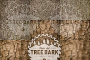 TreeBark - 15 photoset preview 2