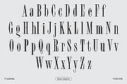 TT Espina, a Serif Font by TypeType (Thumbnail 8 of 15)