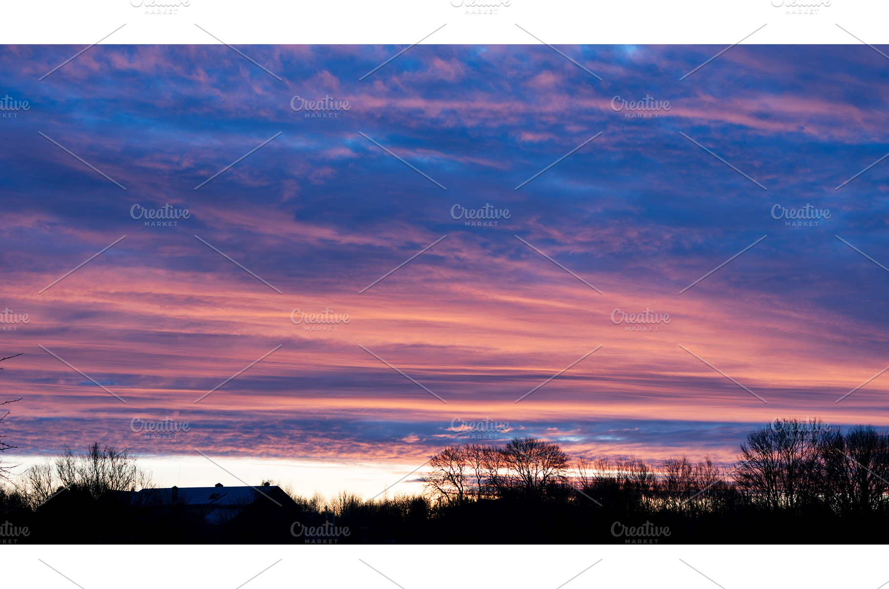 Spectacular purple and blue sunset, a Nature Photo by Oleksandr Masnyi