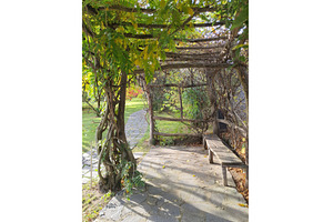 A shaded autumn garden path leads, a Nature Photo by Lermont51