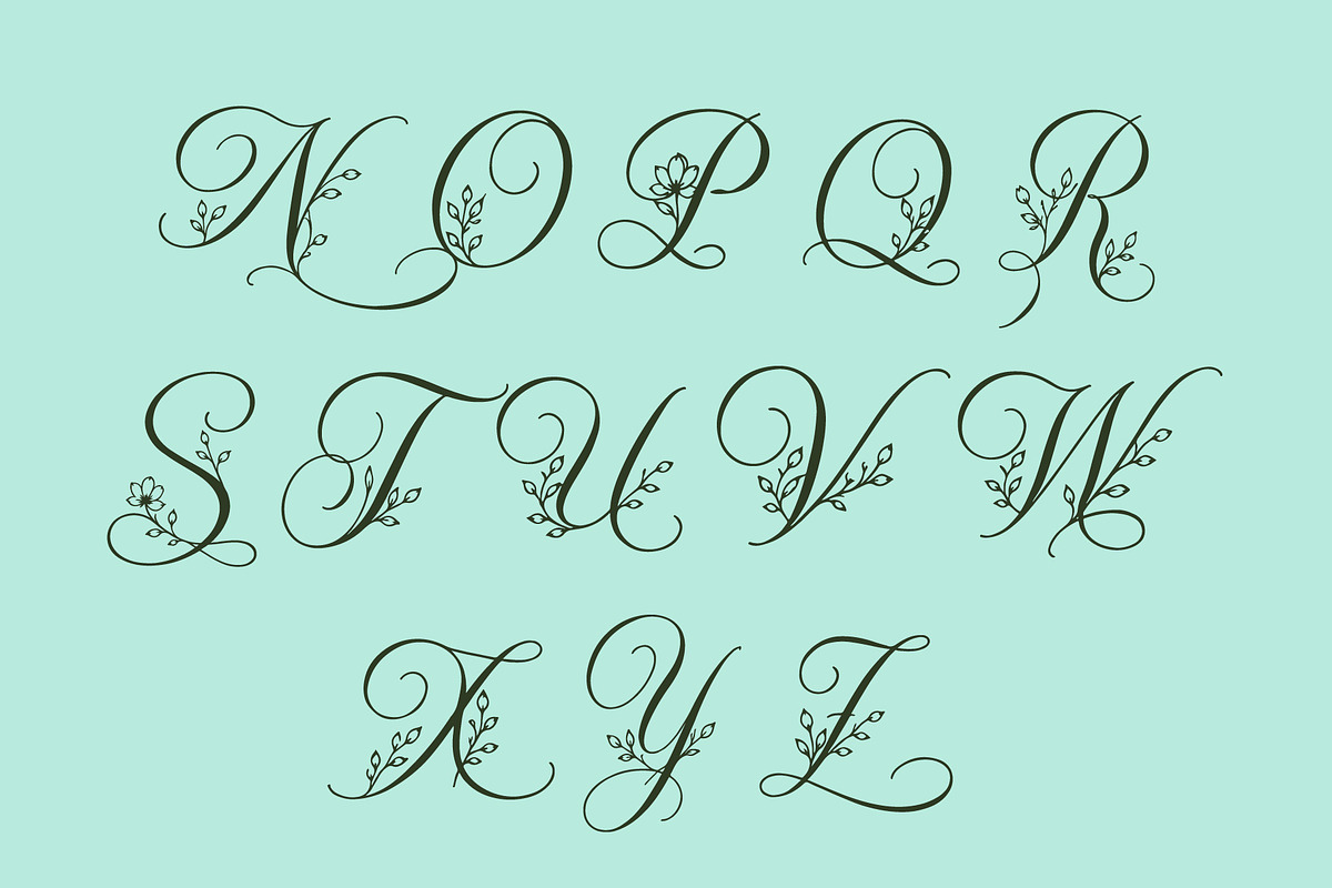 Alverose - Secret Garden Script, a Script Font by HypeWorksCo (Photo 15 of 17)