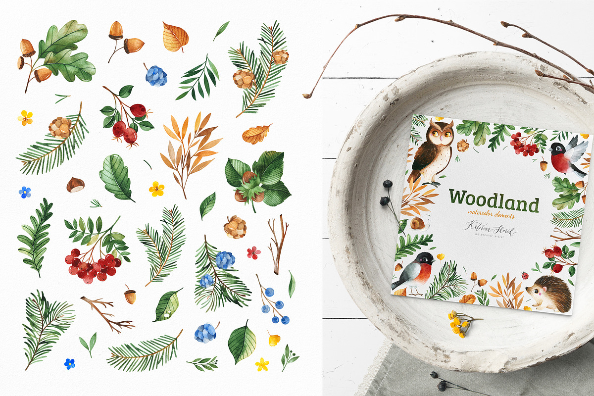 Woodland. Cute forest collection., an Animal Illustration by Kate_Rina (Photo 11 of 15)