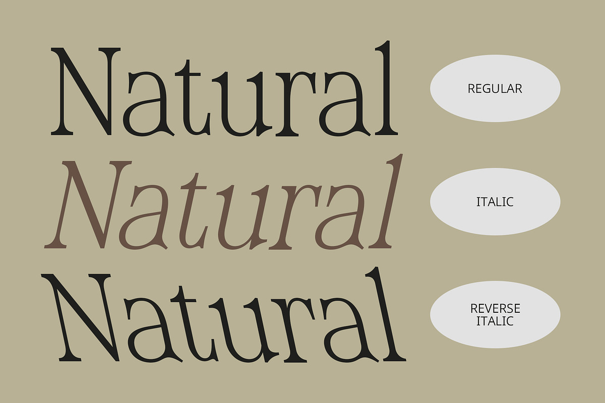CS Sheila – Classic Font, a Serif Font by Craft Supply Co. (Photo 3 of 8)