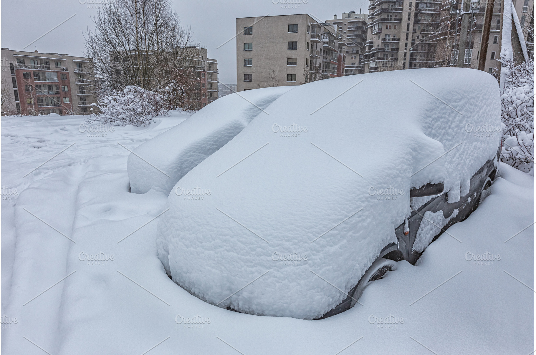Vehicles covered with snow in the, a Nature Photo by Lukas Jonaitis SHOP