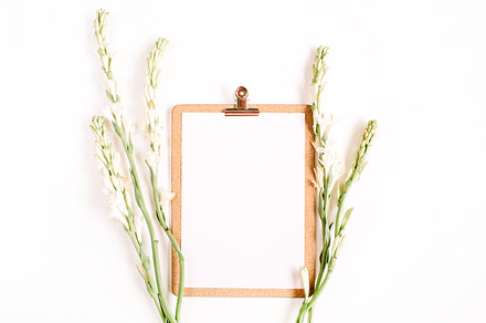 Clipboard containing flower, minimal, and leaf, an Arts & Entertainment Photo by Floral Deco