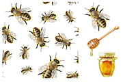 Watercolor honey set, a Pattern Graphic by lenavetka87 (Thumbnail 1 of 3)