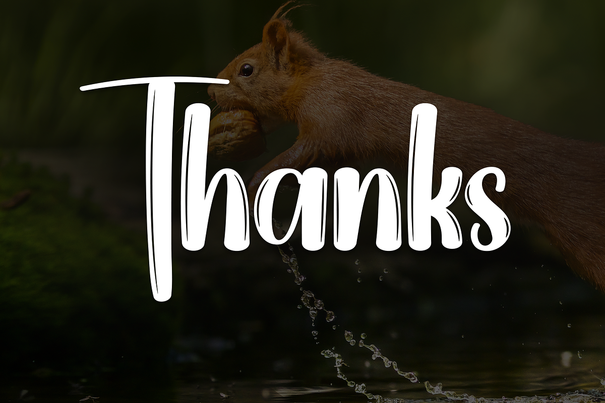Animal | Script Font, a Handwritten Font by Scratchones (Photo 9 of 9)