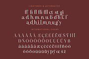 Hamster Modern Serif Font, a Serif Font by Letterena Studios (Thumbnail 14 of 15)