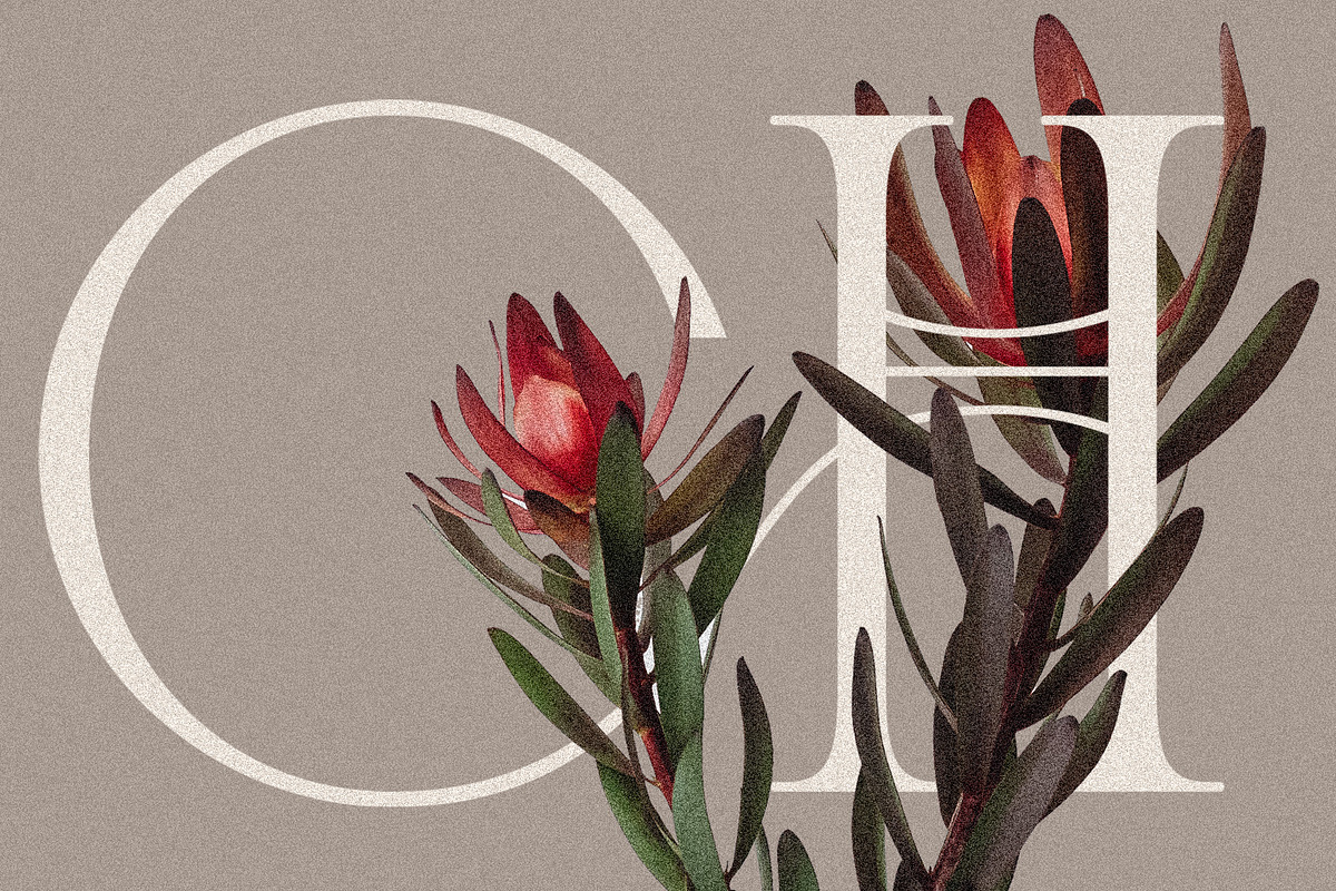 Cosmic Solace - Ligature Typeface, a Serif Font by SilverStag Type Foundry (Photo 15 of 30)