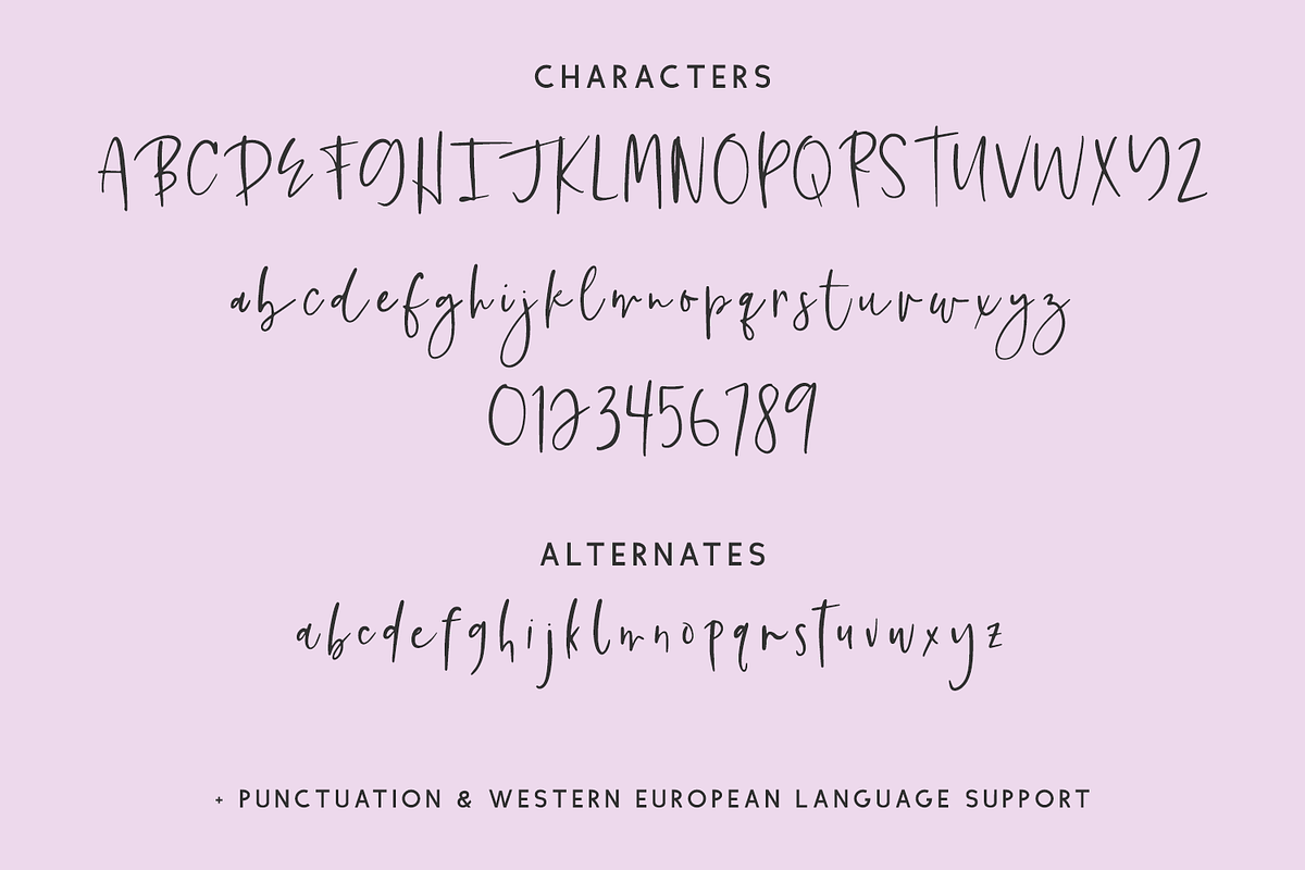 Featherstitch Script, a Script Font by Beck McCormick (Photo 10 of 10)