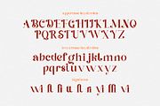 Dinah Glamour / Regular Font, a Serif Font by Anastasia Cuza (Thumbnail 12 of 15)