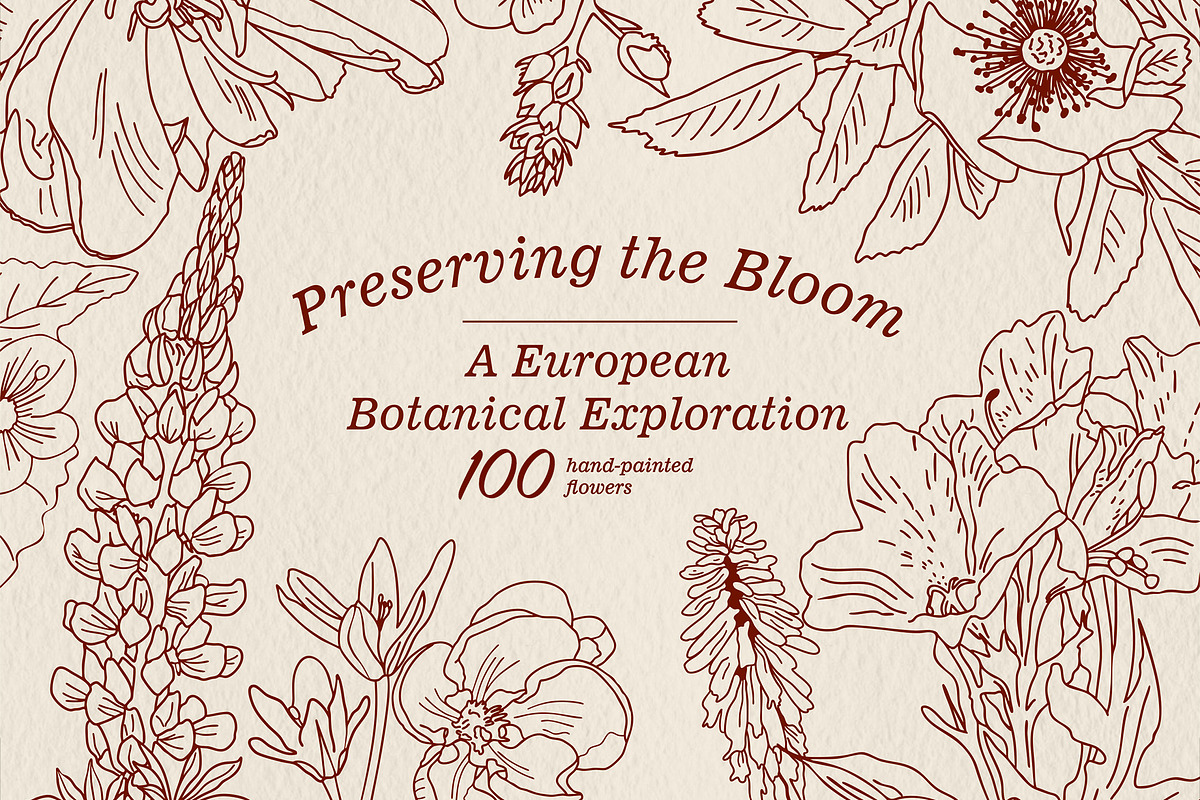 Preserving the bloom 100 flowers, a Decorative Illustration by Visual Animal (Photo 1 of 10)