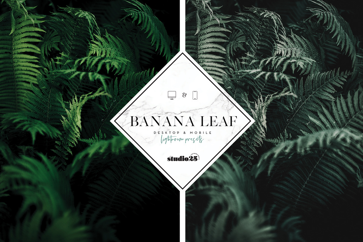 3 Tropical-Botanical Presets, a Plug-in Add-On by studio25 (Photo 4 of 6)
