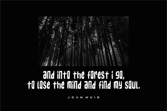 Firewood Typeface preview 7