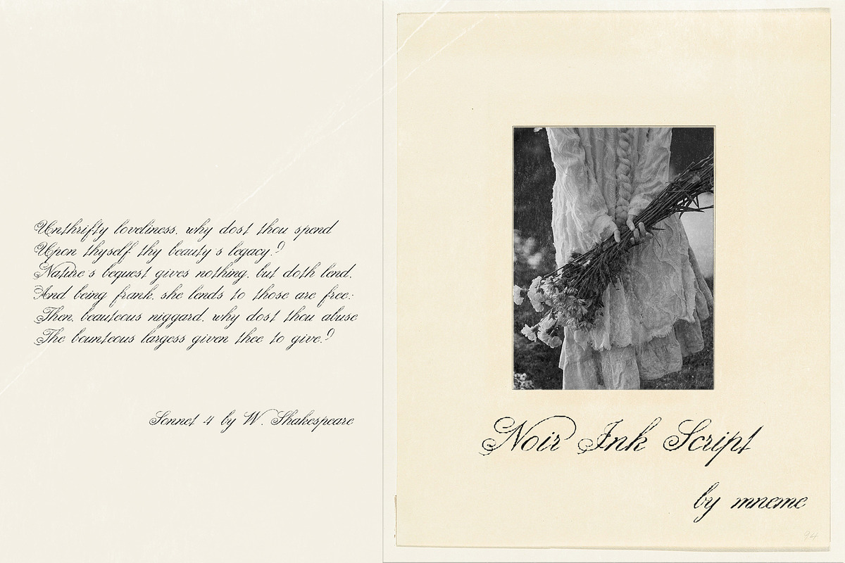 Noir Ink Script, a Script Font by Mneme (Photo 3 of 8)