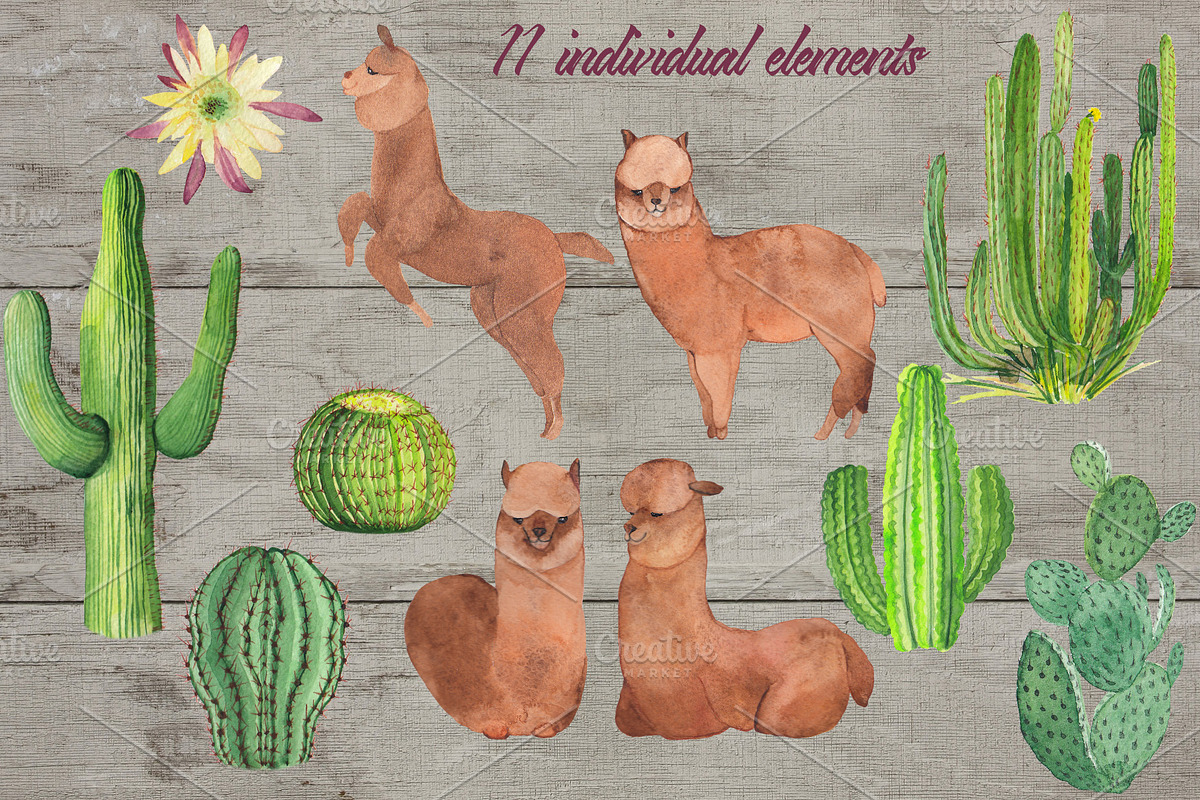 Bright Cactuses & Llamas Clipart, an Illustration by ColorfulNest (Photo 2 of 4)