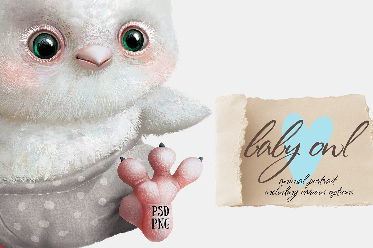 Baby owl, an Animal Illustration by TanyaSchuka (Photo 1 of 5)