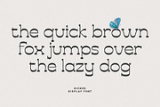 Kicked Display, a Slab Serif Font by Prioritype Co (Thumbnail 3 of 10)