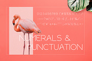 Rollgates Modern Sans, a Sans Serif Font by Cotbada_studio (Thumbnail 8 of 10)