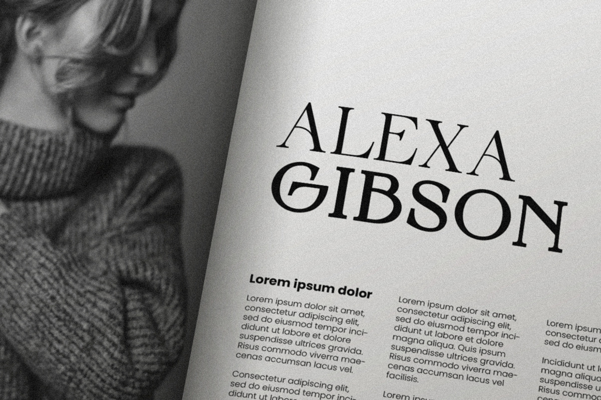Neutical Serif Font Family (12 Font), a Serif Font by Heinzel Std (Photo 2 of 19)