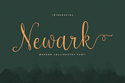 Newark Script, a Script Font by sizimon (Thumbnail 1 of 7)