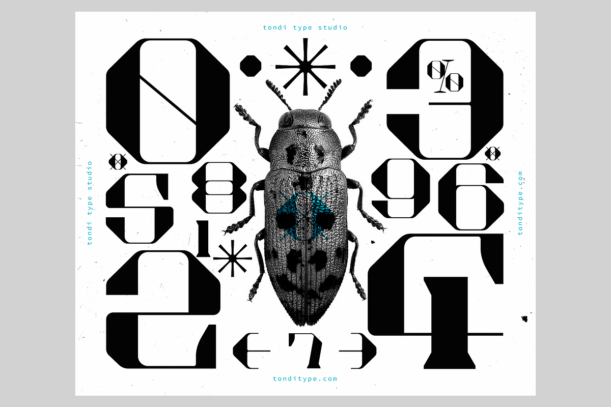 Akadis Display Font, a Serif Font by Tondi Type Studio (Photo 14 of 18)