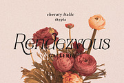 Cheraty Serif, a Serif Font by Skypia (Thumbnail 20 of 22)