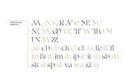Erotique - 10 fonts, a Serif Font by Zetafonts (Thumbnail 11 of 14)