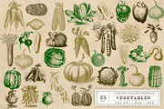Vintage Vegetable Garden Graphics, an Object Graphic by Eclectic Anthology (Thumbnail 3 of 3)