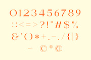 Mastha - Modern Serif Display, a Serif Font by Muflieart (Thumbnail 5 of 12)